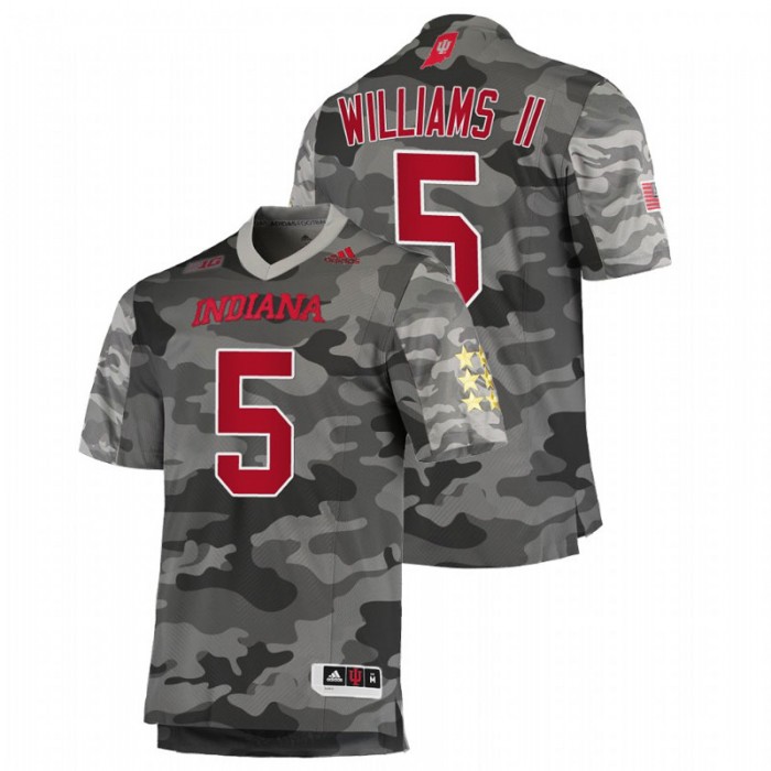 Dexter Williams II Indiana Hoosiers College Football Salute To Service Gray Jersey For Men