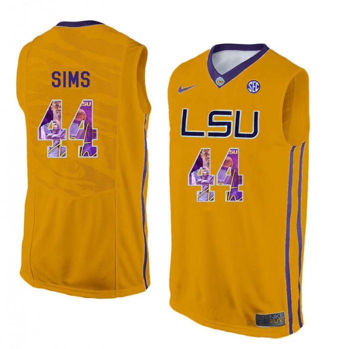 Male Wayde Sims LSU Tigers Gold NCAA Player Pictorial Tank Top Basketball Jersey