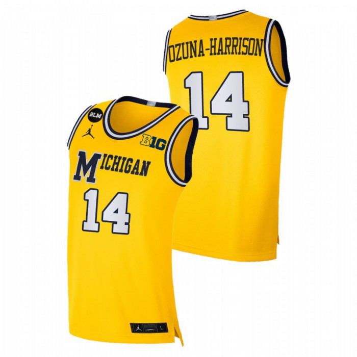 Michigan Wolverines Rico Ozuna-Harrison Jersey Limited Yellow BLM Social Justice Men