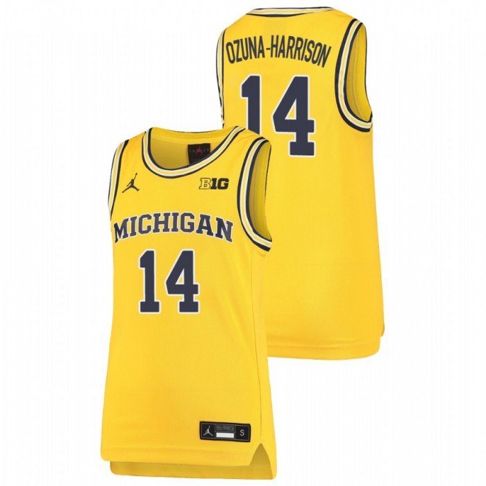 Michigan Wolverines Rico Ozuna-Harrison Jersey Basketball Maize Replica Youth
