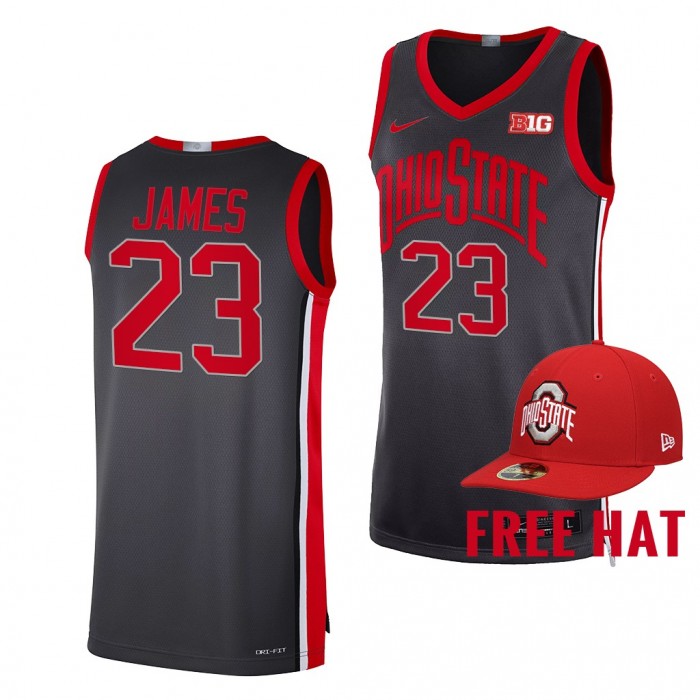 LeBron James Jersey Ohio State Buckeyes Throwback 90s Limited Alternate Jersey-Gray