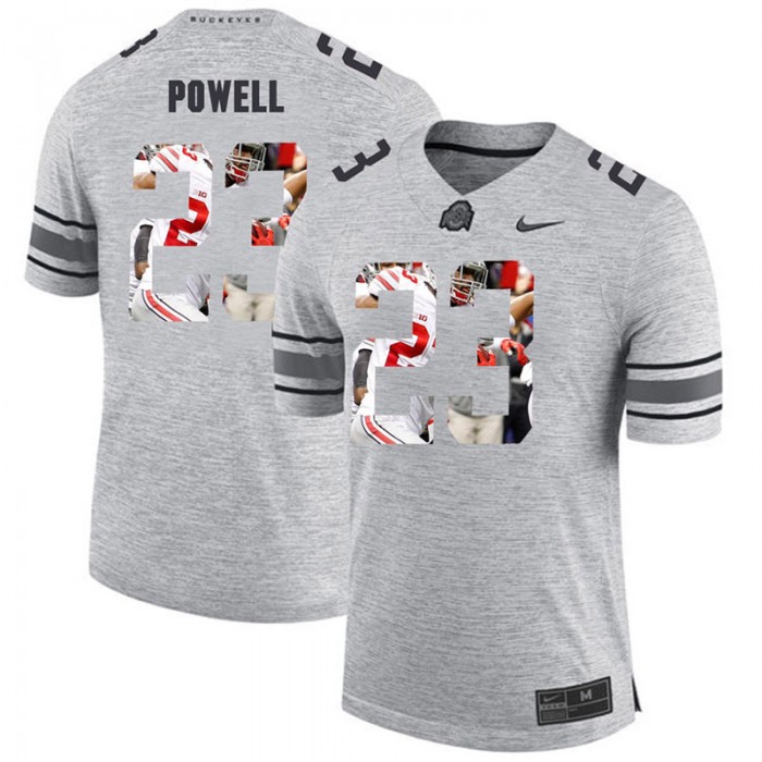 Men Tyvis Powell Ohio State Buckeyes Gray Football Player Pictorital Gridiron Fashion Limited Jersey