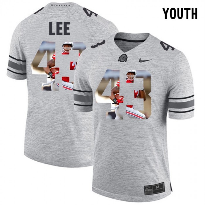 Youth Darron Lee Ohio State Buckeyes Gray Football Player Pictorital Gridiron Fashion Limited Jersey