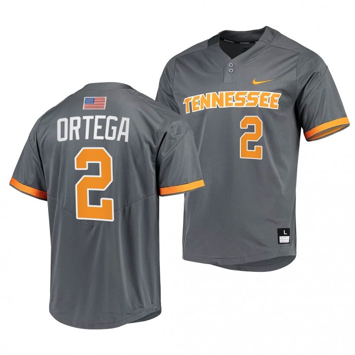 Tennessee Volunteers Grey College Baseball Jorel Ortega Men Jersey