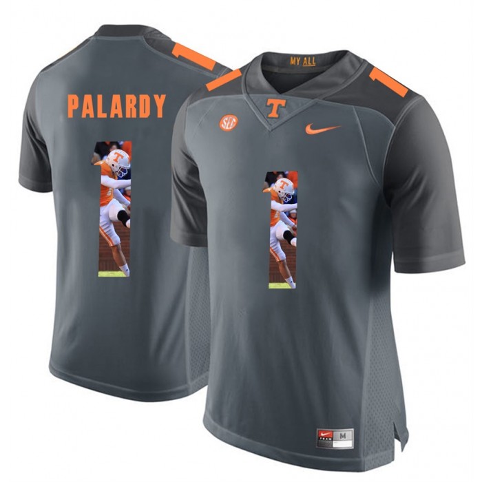 Michael Palardy Tennessee Volunteers Grey Player Pictorial Fashion Jersey